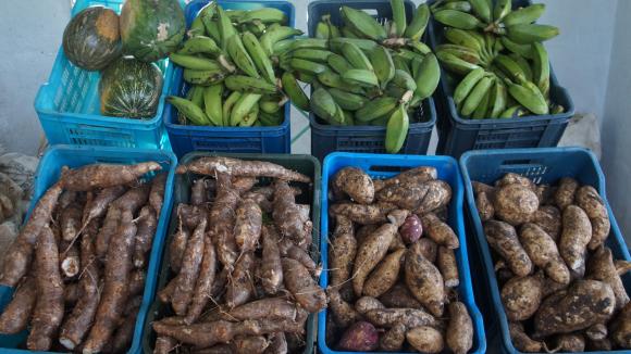 Foto: Bárbara Borrás Aguilar