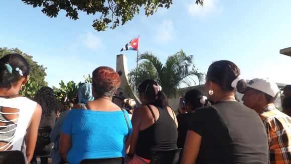 Siguen vivos. Foto: Rafael Aparicio Coello.