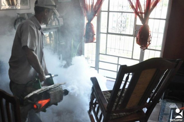 Tiempos de extremar medidas contra el Aedes 