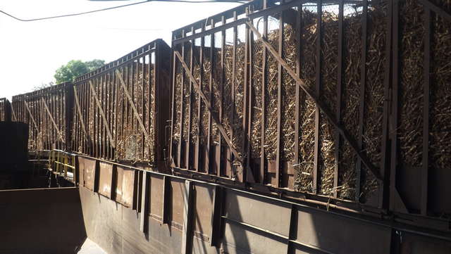 Ejercicio de zafra en el central Amancio Rodríguez. Foto: Danay Naranjo Viñales.