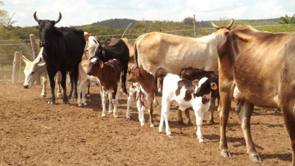 Foto: Archivo de Radio Maboas