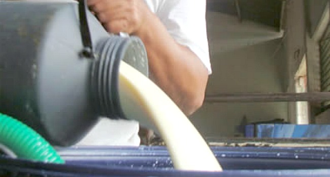 Producción de leche en Amancio