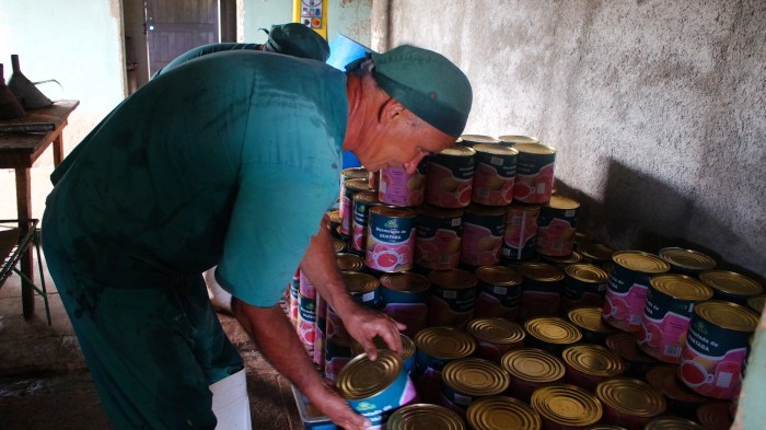 Producción de alimentos en Amancio. Foto: Bárbara Borrás Aguilar.