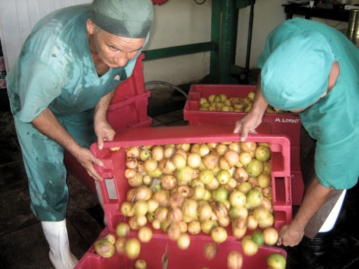 Producción de alimentos en Amancio. Foto: Rafael Aparicio Coello.