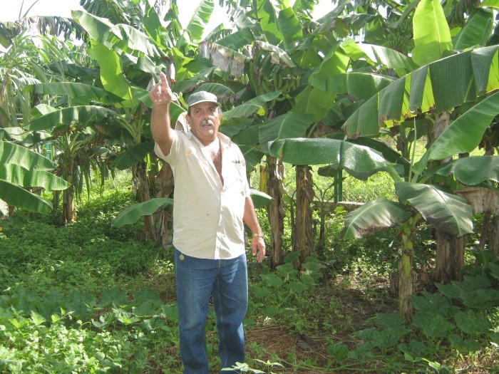 Producción de alimentos en Amancio. Foto: Rafael Aparicio Coello.