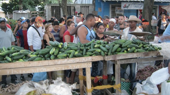 Feria Agropecuaria en Amancio. Foto: Danay Naranjo Viñales.