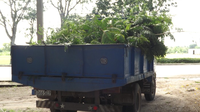 Ejercicio Meteoro 2017 en Amancio. Foto: Rafael Aparicio Coello.