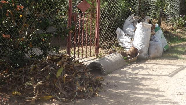 Al mosquito: duro con la higiene